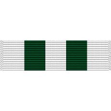 South Carolina National Guard Safety Ribbon